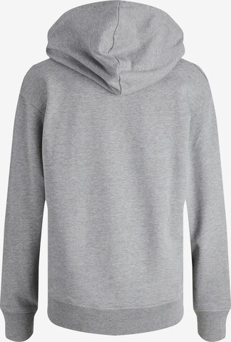 JJXX Sweatshirt 'Anina' in Grau