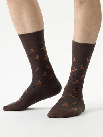 Von Jungfeld Socks 'FESTIVE ICONS' in Brown: front