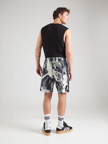 ADIDAS ORIGINALS tavaline Püksid, värv hall