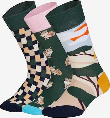 DillySocks Socken 'Prairie Diary' in Mischfarben: Vorderseite