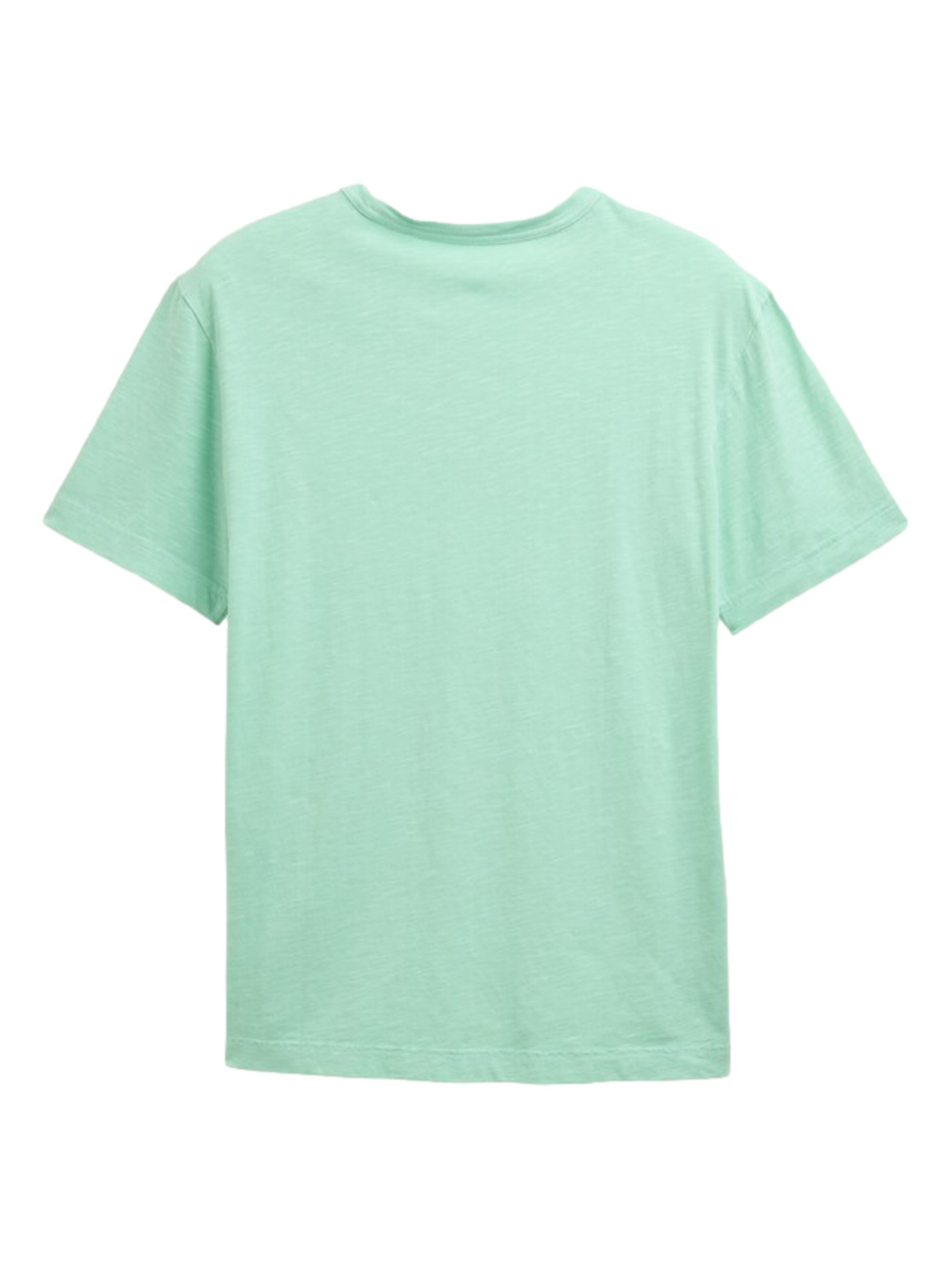 TOM TAILOR Bluser & t-shirts i grøn