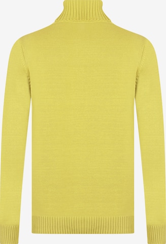 DENIM CULTURE Sweater 'Jason' in Yellow