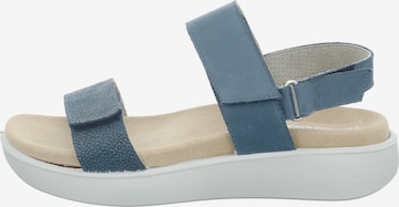 Westland Sandals 'BORNEO' in Blue: front