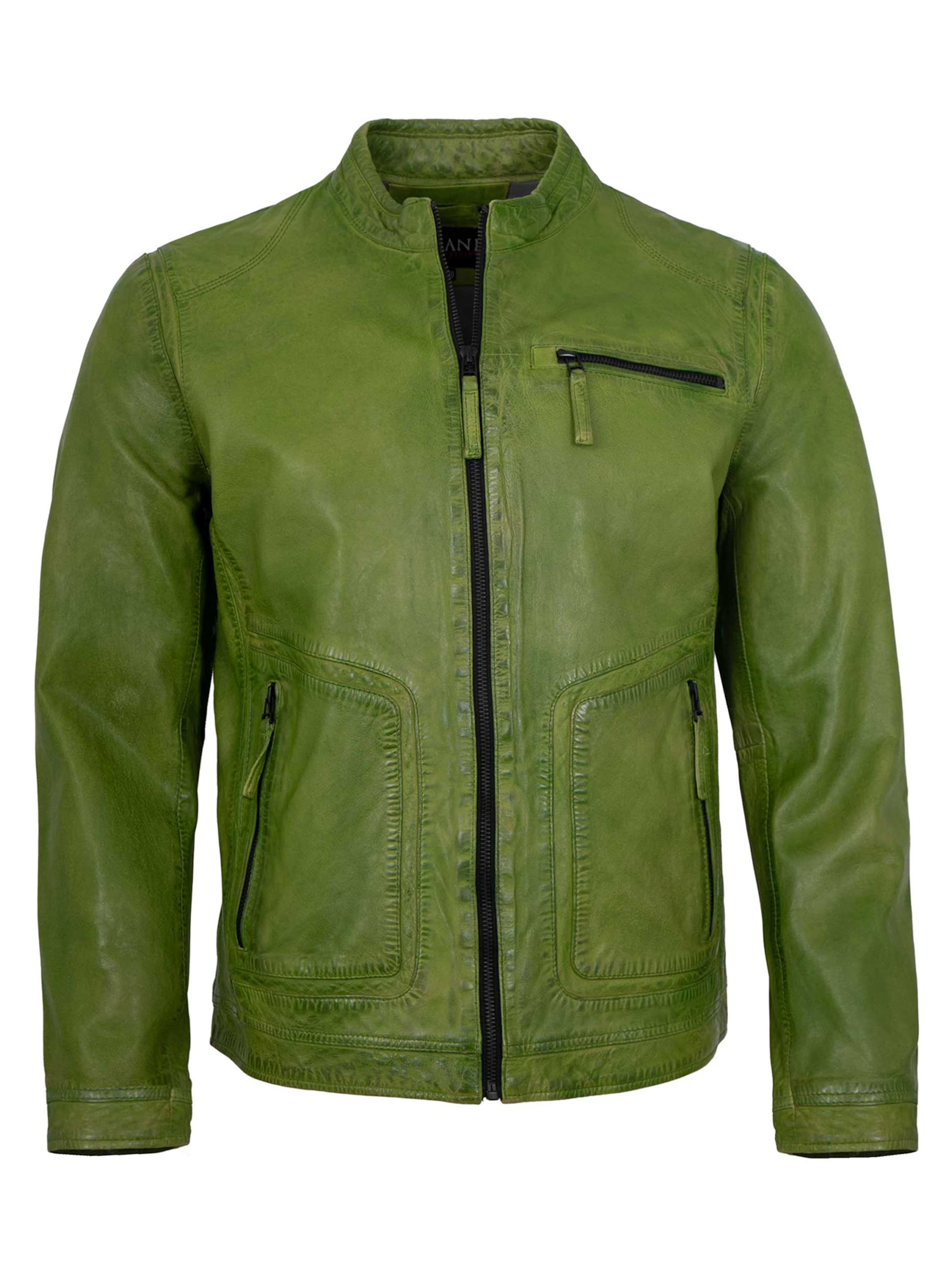 Jilani Tussenjas 'Nilan-2' in Groen