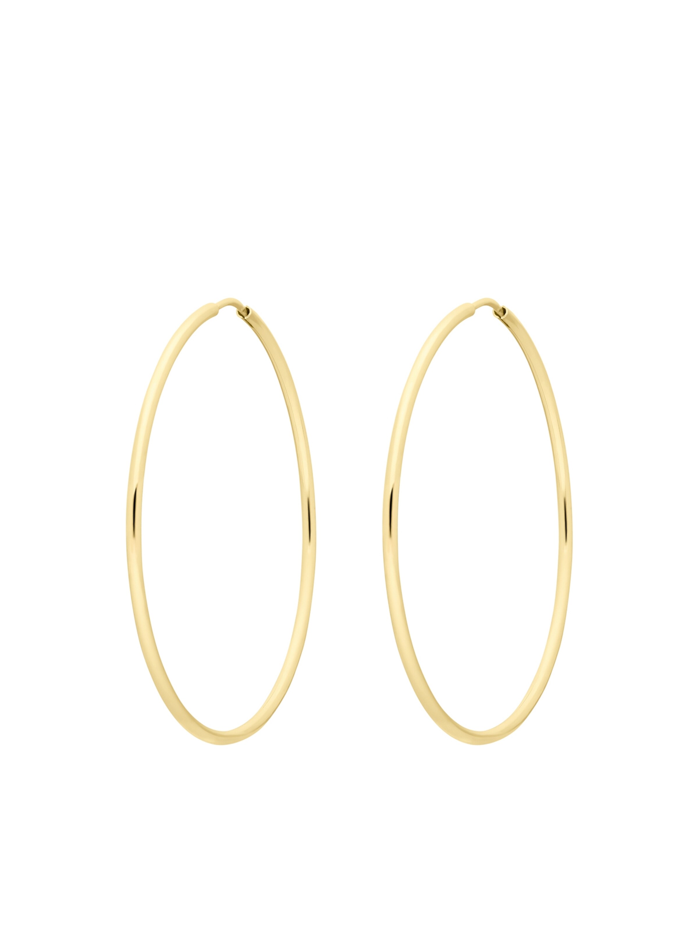 Lucardi Earrings in Gold: front