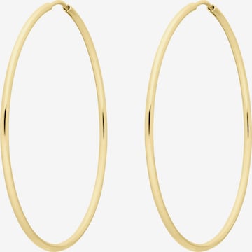 Lucardi Earrings in Gold: front