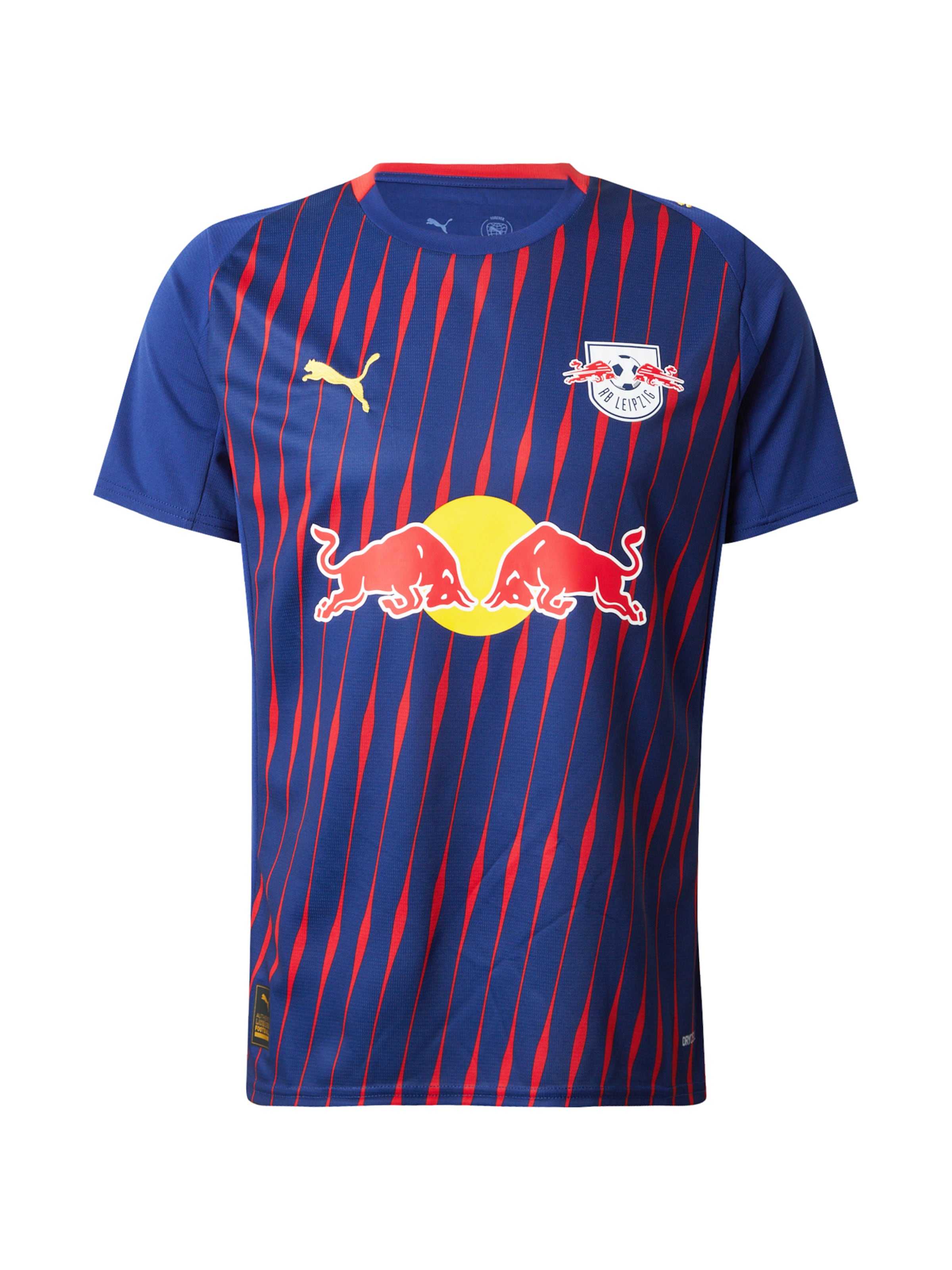 PUMA Jersey 'RB Leipzig 25/26' in Blue: front