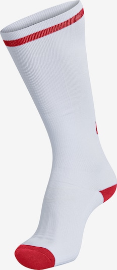 Hummel Chaussettes de sport en rouge / blanc, Vue avec produit