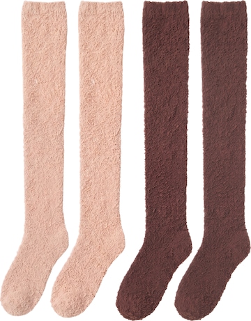 BONVERANO Over the Knee Socks in Brown: front