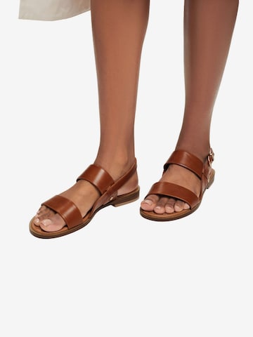 ESPRIT Sandals in Brown: front