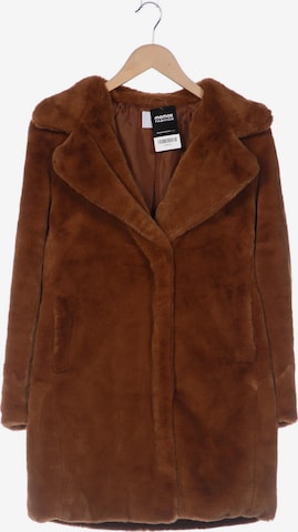 Reserved Jacket & Coat in M in Brown: front