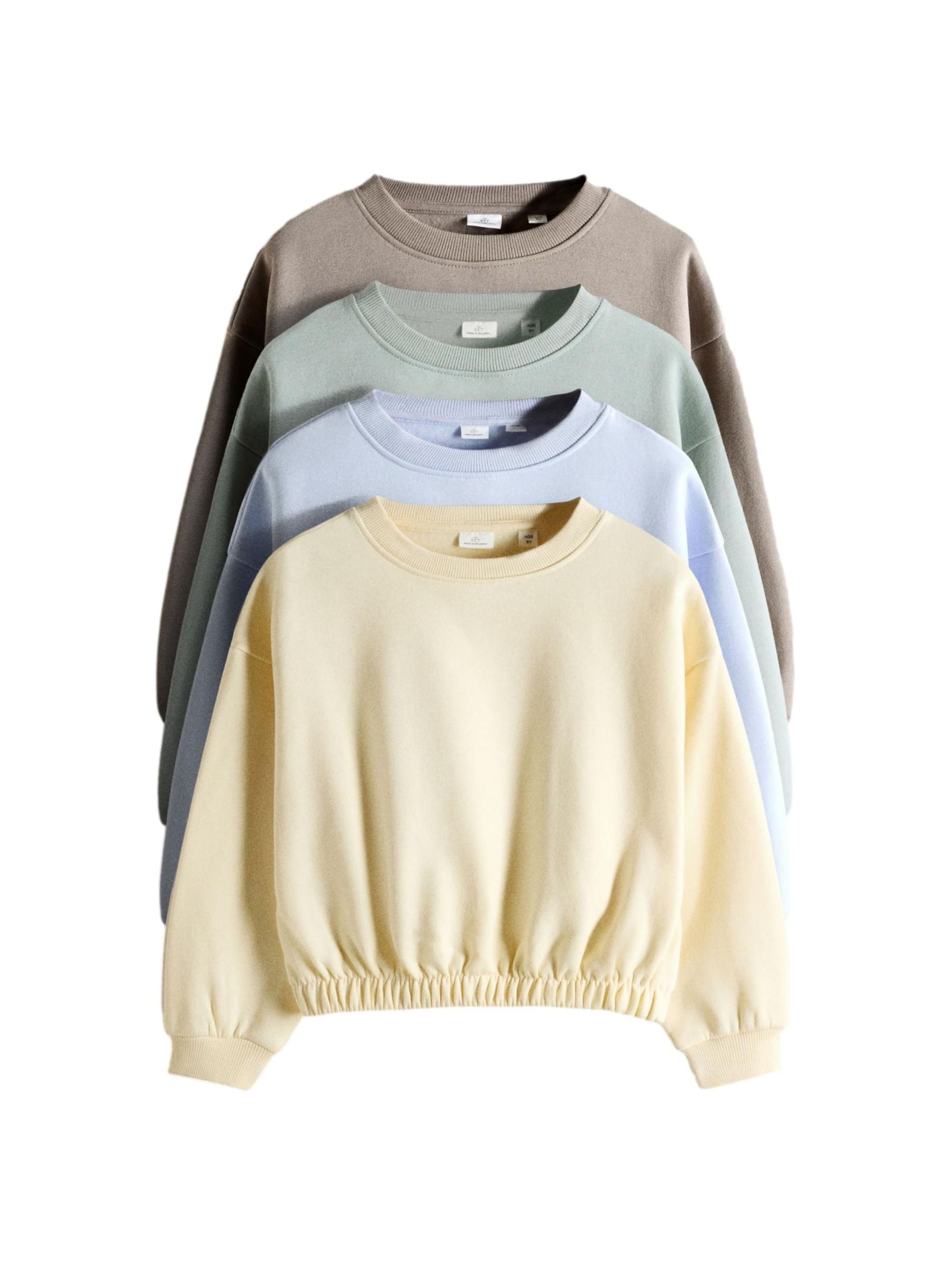 The Set Sweatshirt in Light blue / Light brown / Pastel yellow / Pastel green, Item view