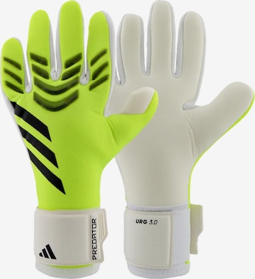 Gants de sport 'Predator League Radiant Blaze' ADIDAS PERFORMANCE en vert : devant