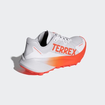 ADIDAS TERREX - Zapatos bajos 'Agravic 3' en blanco