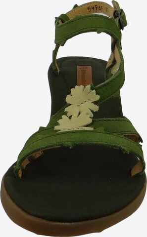 EL NATURALISTA Strap Sandals in Green