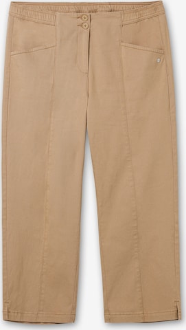 SHEEGO Regular Pleat-Front Pants in Beige: front