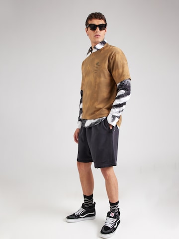 Maglietta 'MTE Canyonlands' di VANS in marrone