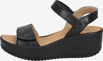 IGI&CO Sandals in Black