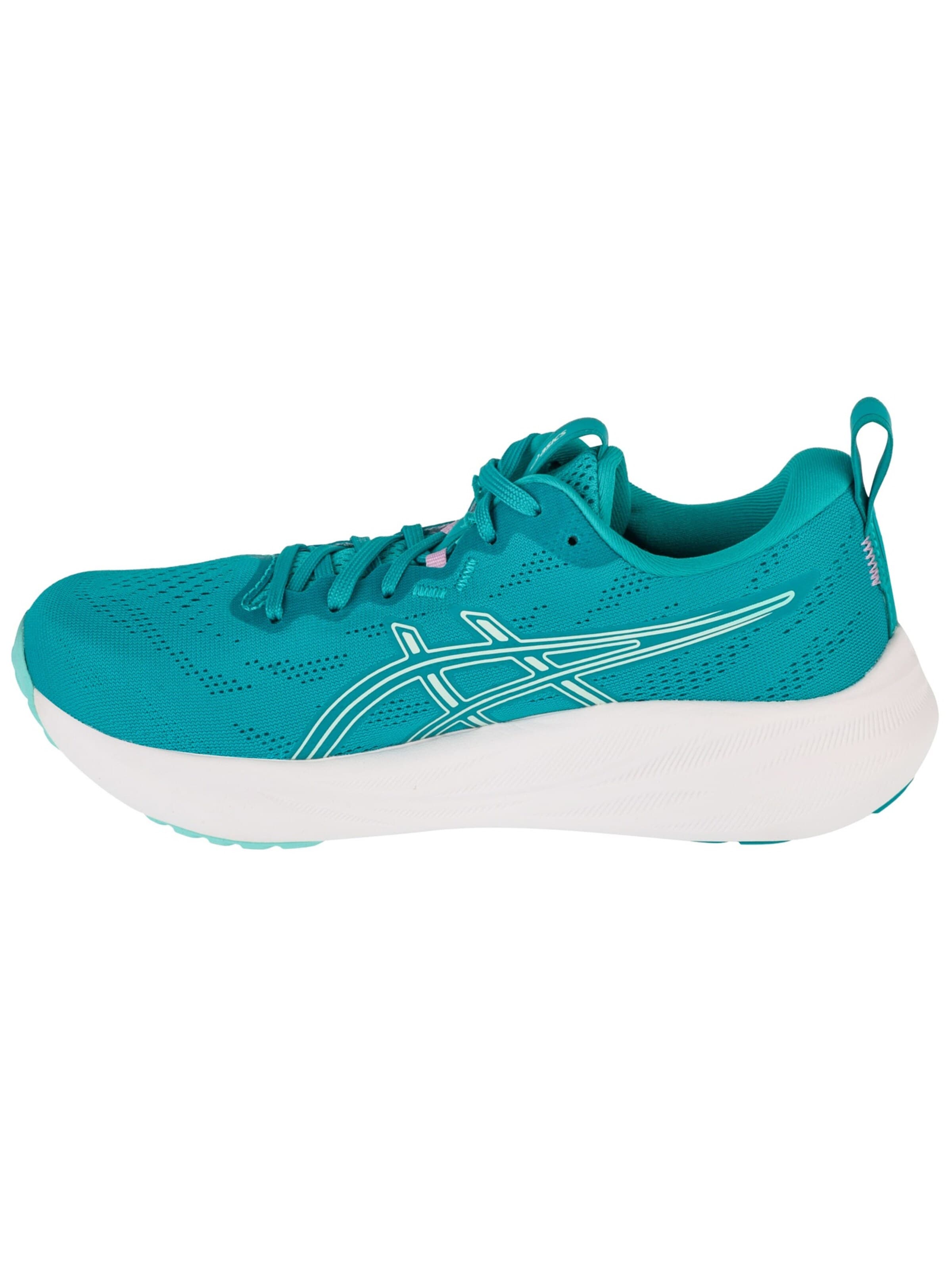 ASICS Loopschoen 'Gel-Pulse 16' in Blauw