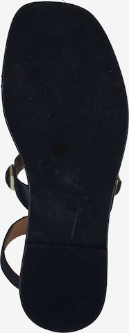 Venturini Milano Strap Sandals in Black