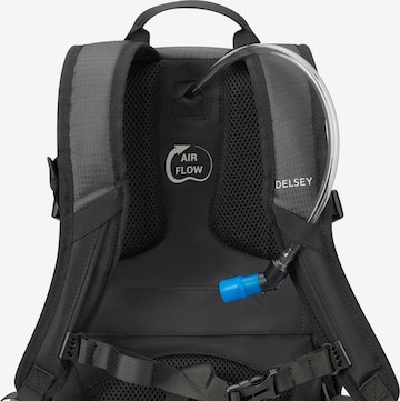 Delsey Paris Rucksack in Schwarz