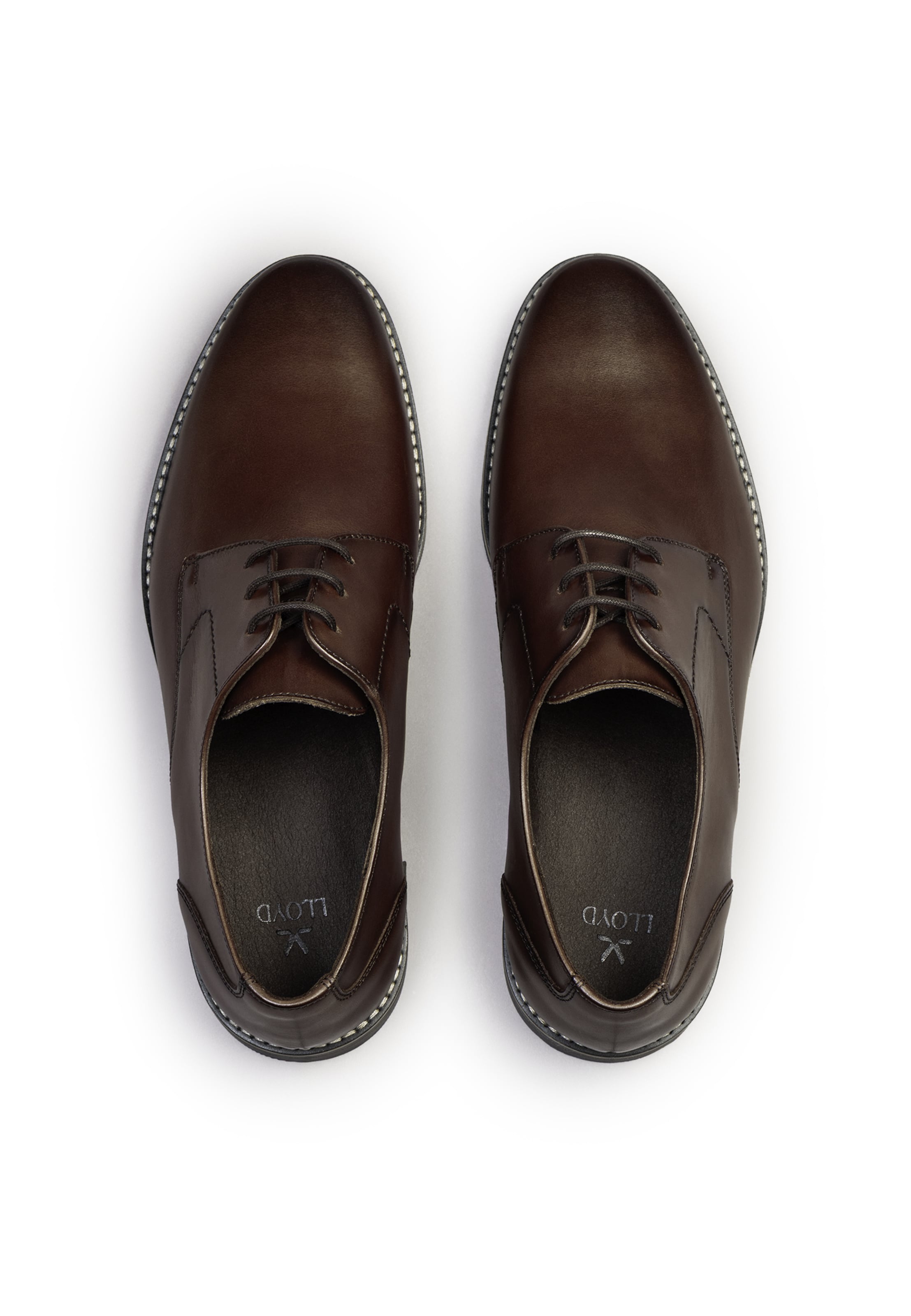 LLOYD Lace-Up Shoes in Brown