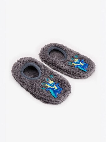 Chaussettes 'PENTI Jungen Roarsome Bootie-Hausschuhe' Penti en gris