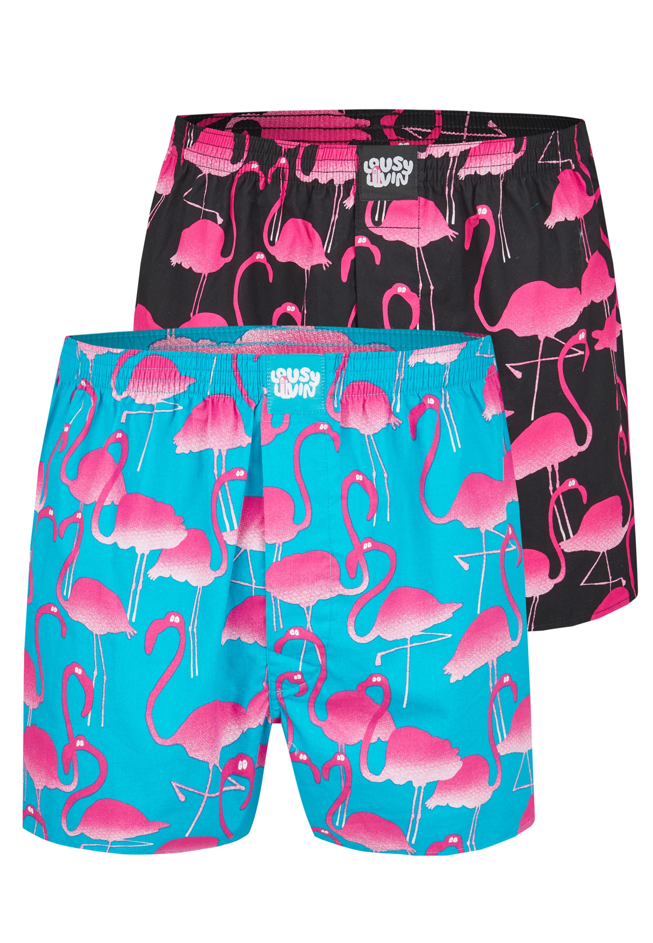 Lousy Livin Boxer shorts 'Flamingo' in Blue: front