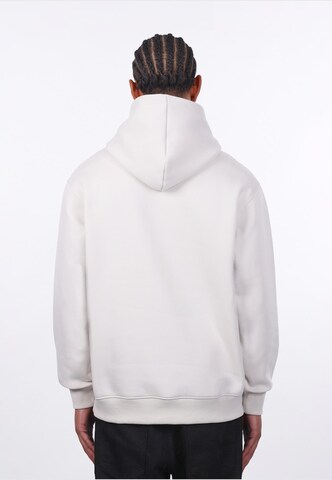 Felpa di Dropsize in grigio
