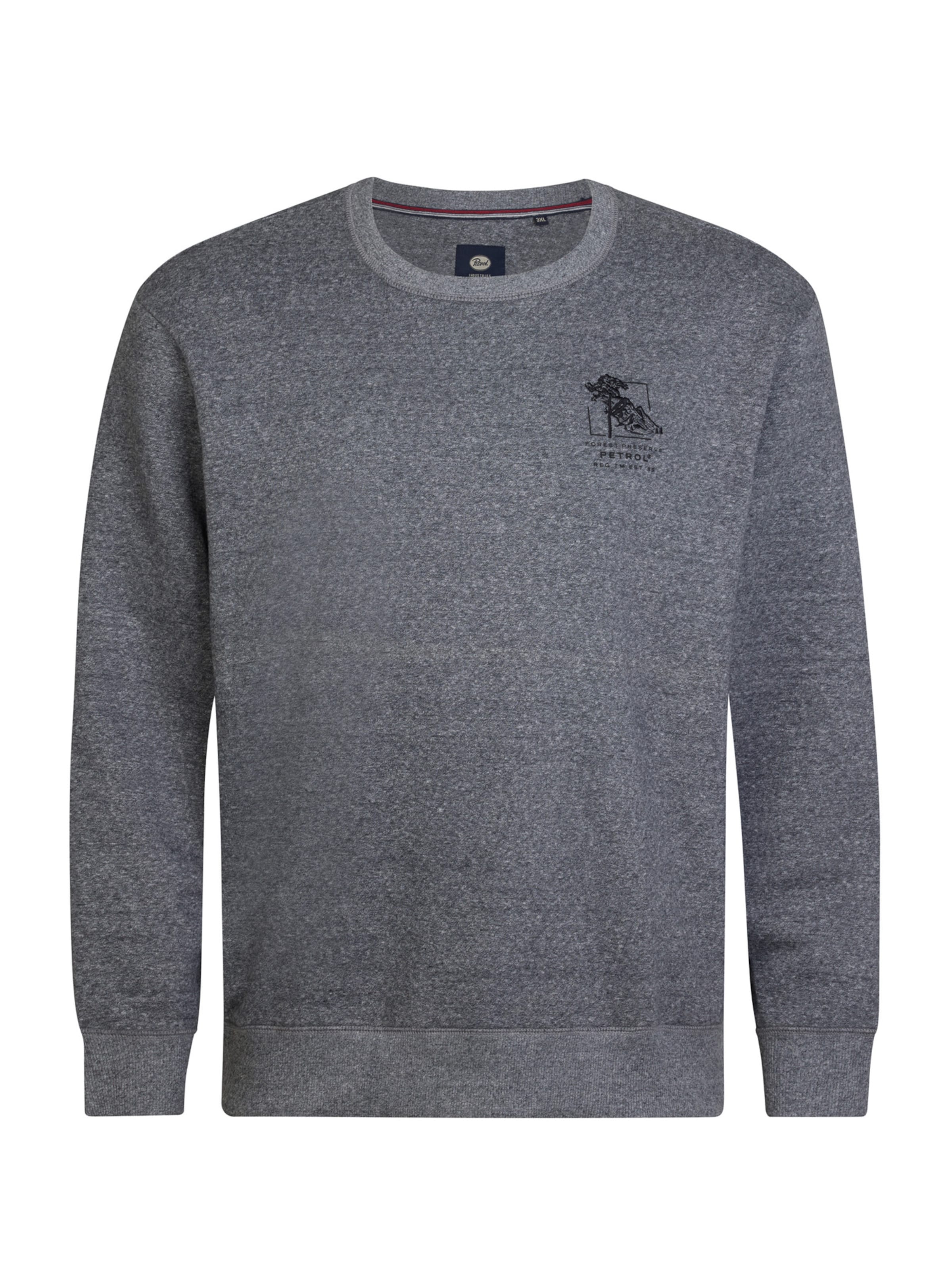 Petrol Industries Sweater in Grey: front