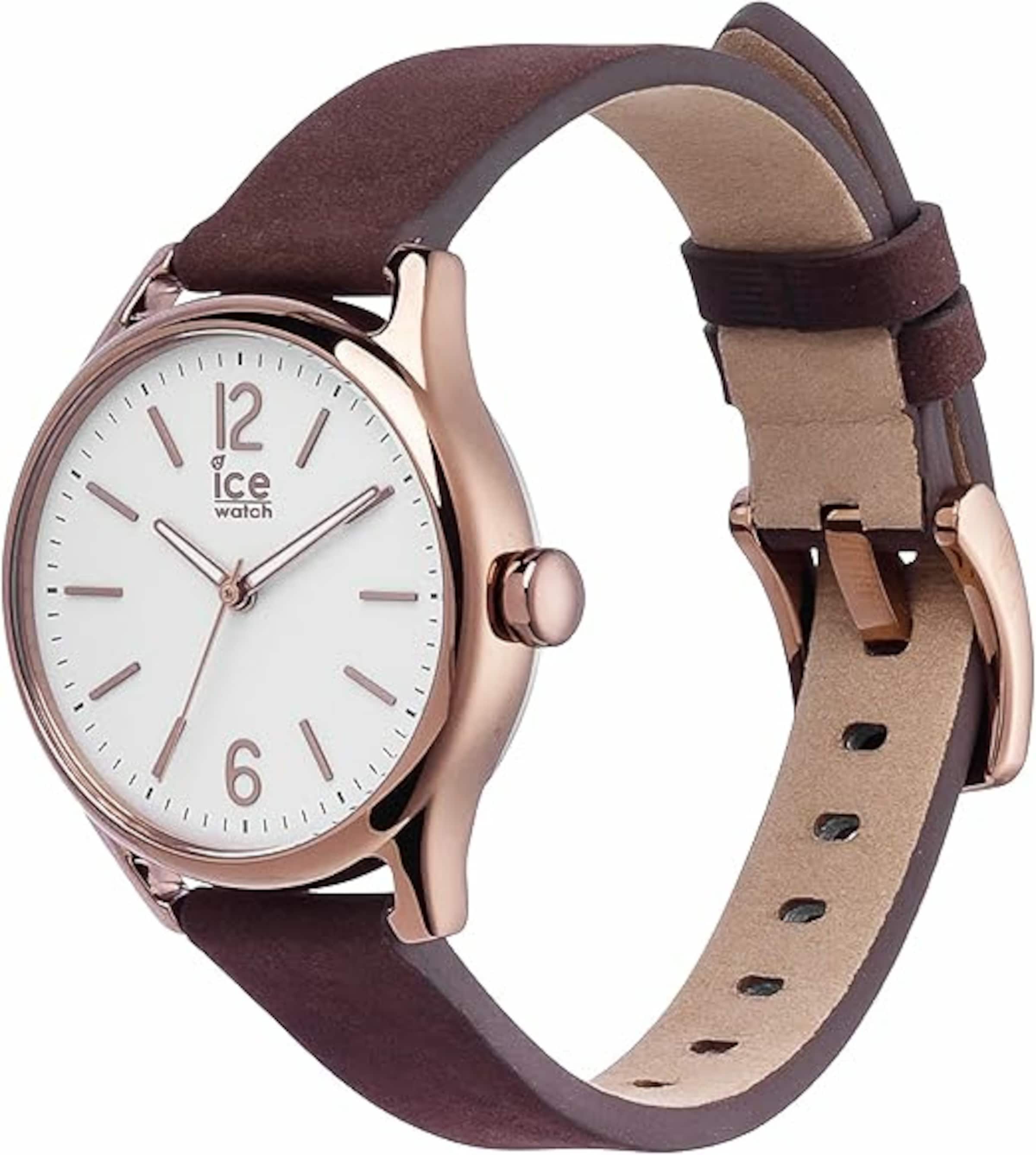 ICE WATCH Uhr 'Ice Time' in Braun: Vorderseite