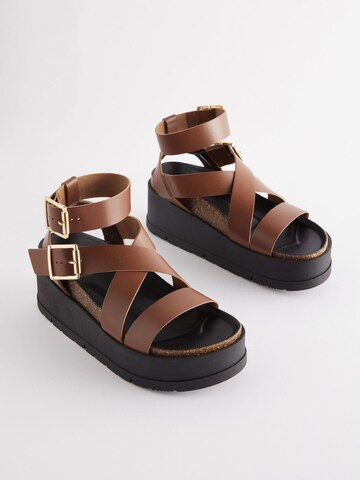 Next Sandal in Brown