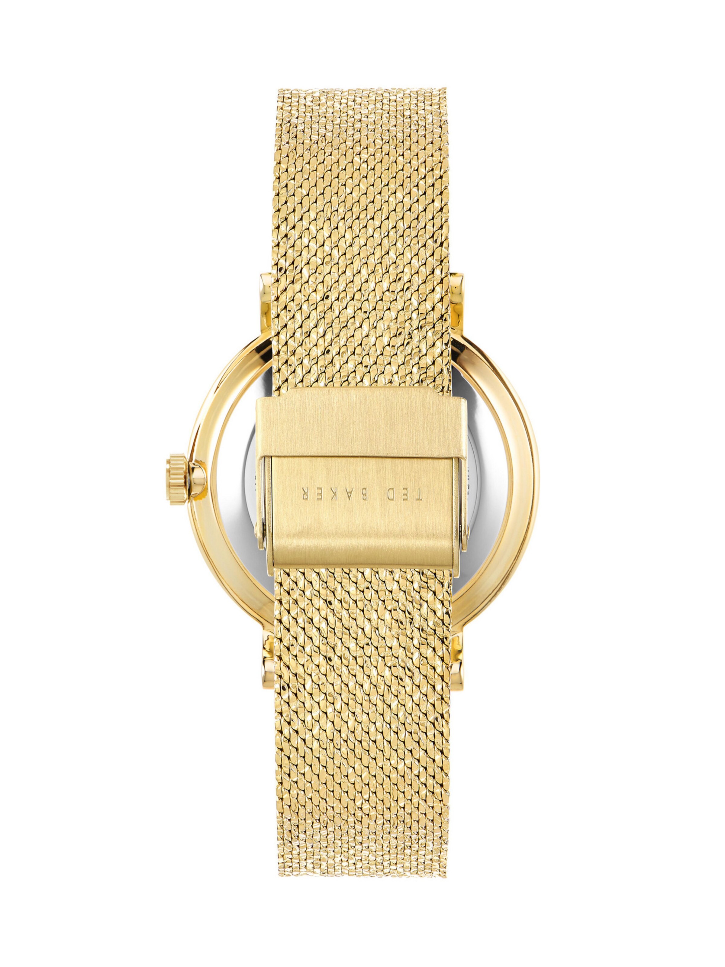 Ted Baker Analog watch in Gold