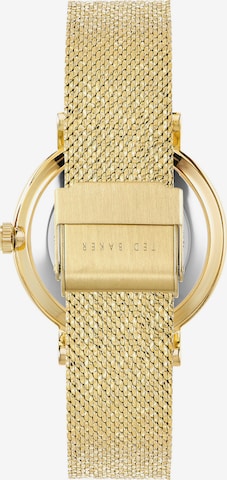 Ted Baker Analoog horloge in Goud