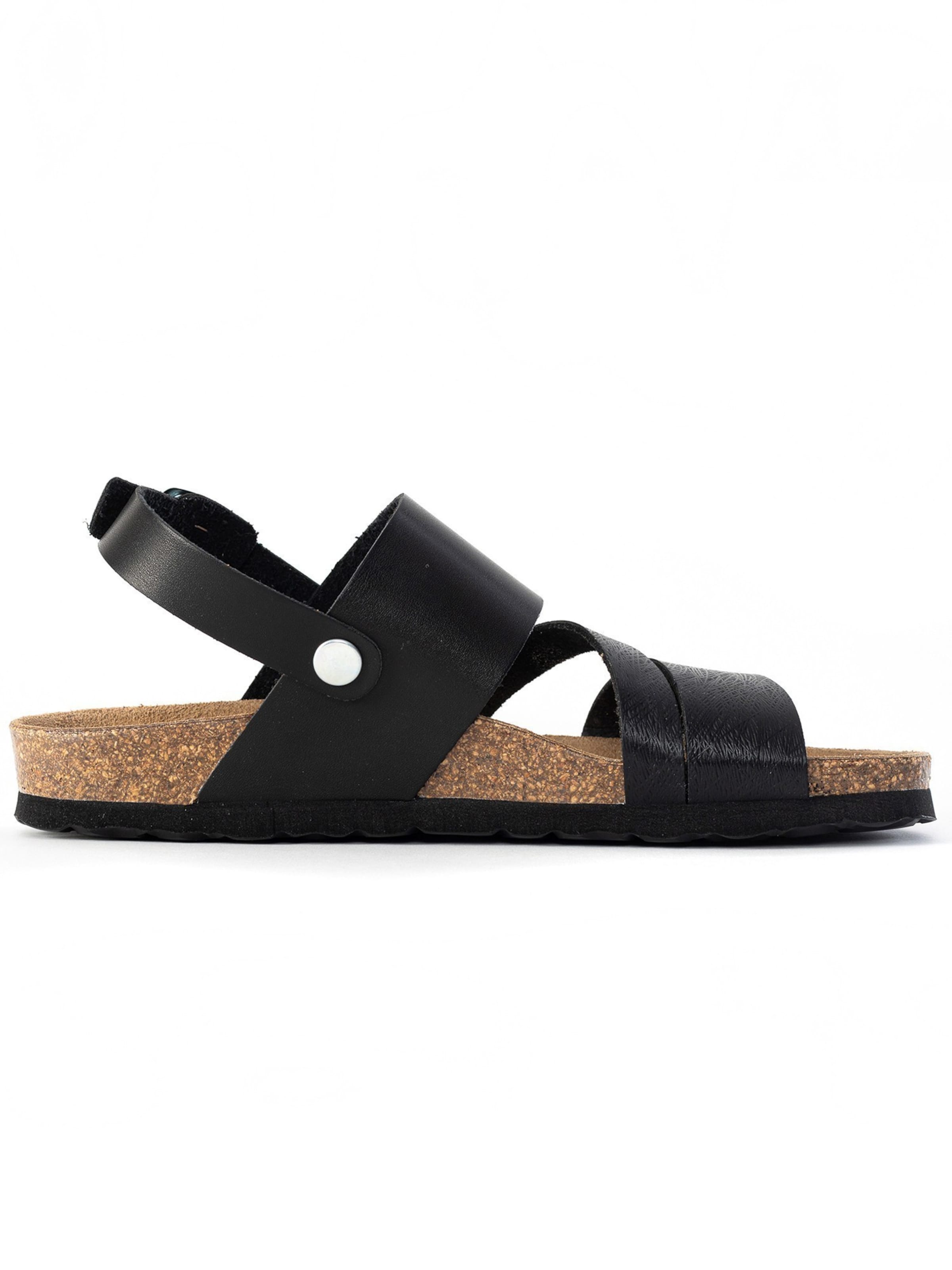 Bayton Rihmik 'Vitoria', värv hall