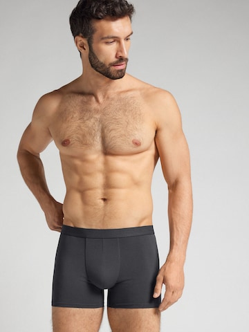 IUMAN Intimissimi Uomo Boxer in Grau