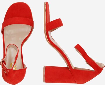 Dorothy Perkins Sandalen met riem 'Sweetie' in Rood