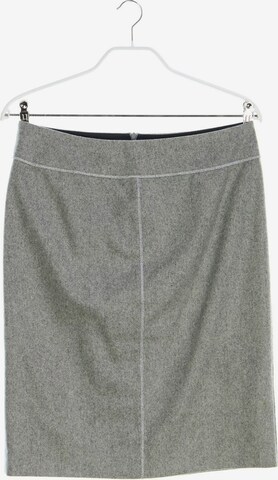 Caractère Skirt in L in Grey: front