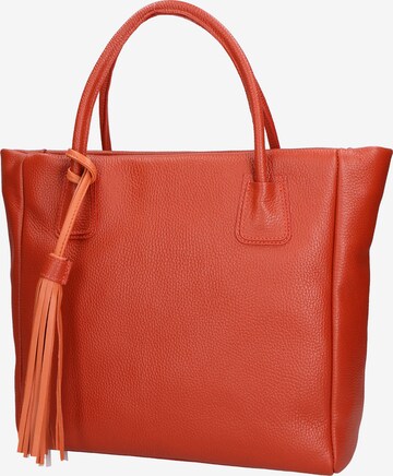 Gave Lux Handbag in Orange: front