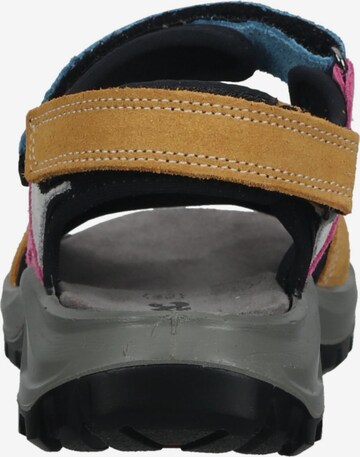 IMAC Hiking Sandals in Mixed colors