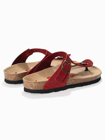 Bayton Μιούλ 'MERCURE' σε κόκκινο