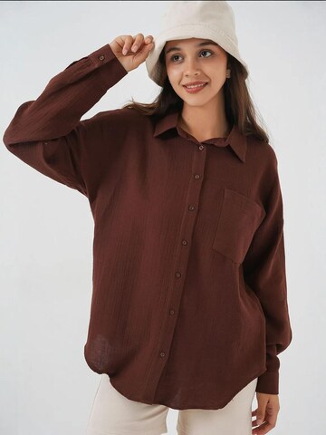 Bigdart Blouse in Brown