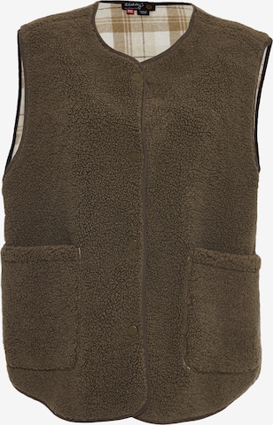 Gilet di taddy in marrone: frontale