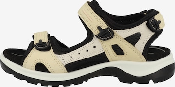 smėlio ECCO Sportinio tipo sandalai 'Offroad'