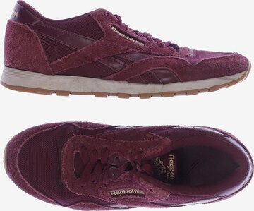 Reebok Sneaker 38 in Rot: predná strana