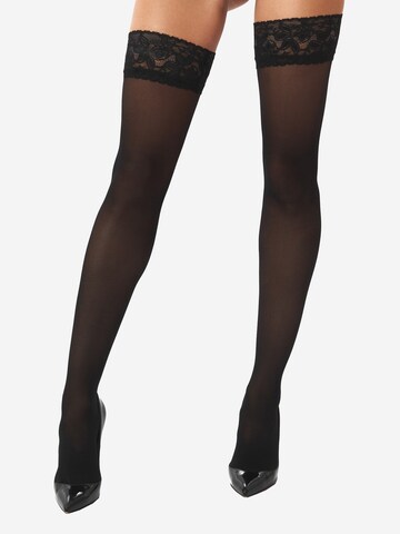 KOTEK Hold-up stockings 'H003 20den' in Black: front