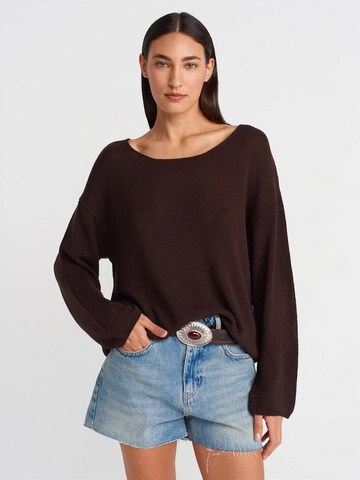 DilvinPulover 'Pullover' - smeđa boja: prednji dio