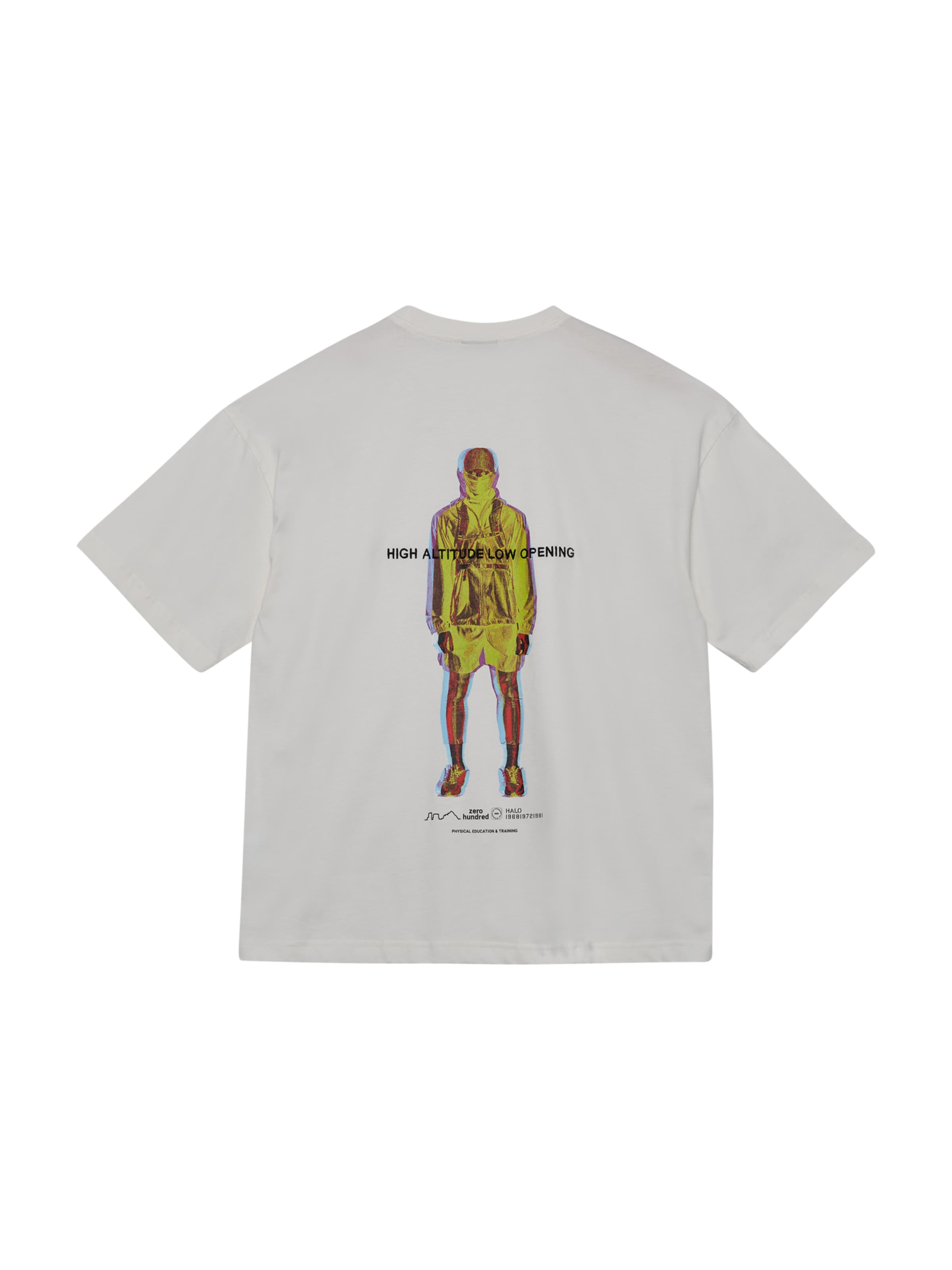 HALO Shirt in Grijs