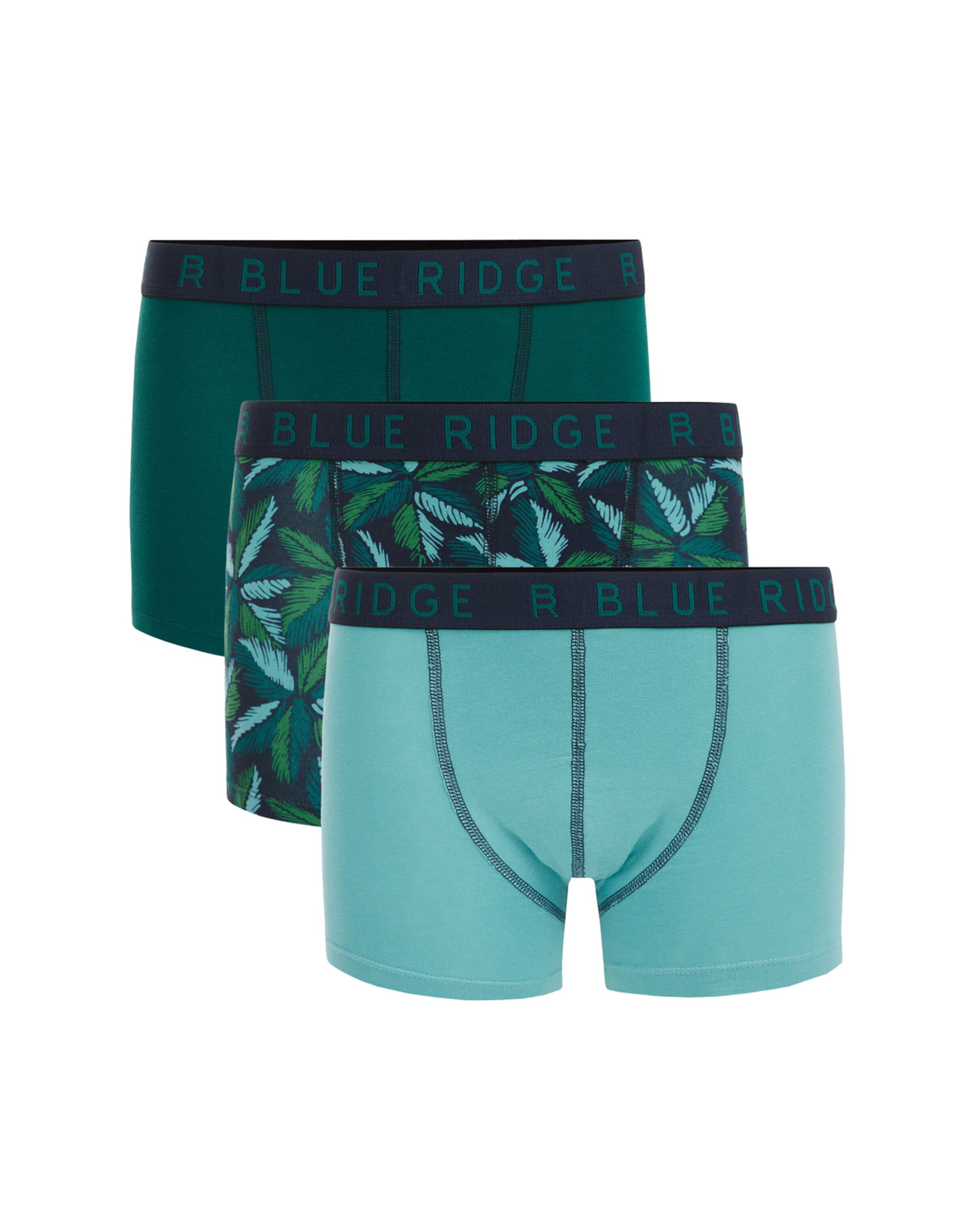 WE Fashion Underpants in Green: front