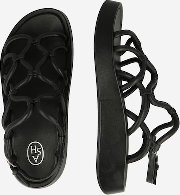 ASH Remienkové sandále 'VENUS' - Čierna